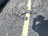 SALCL2FX3LH****** Wrecked 2020 Land Rover Discovery in Florida State
