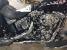 1HD1BW5118Y****** Wrecked 2008 Harley-Davidson FLSTC in Rec Rides Online Exclusive