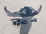 KMHLP4AG4NU****** Destrozados 2022 Hyundai Elantra en Estado de Texas