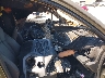 4S4BTGSD8S3****** Usados y Reparables 2025 Subaru Outback en Estado de Oklahoma