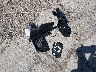 2GNAXWEV8N6****** Destrozados 2022 Chevrolet Equinox en Estado de Illinois