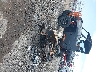 1HD1JA5157Y****** Salvage and Repairable 2007 Harley-Davidson FXSTB in Louisiana State