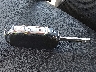 3KPF24AD5RE****** Salvage 2024 Kia Forte in Kentucky State