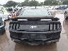 1FA6P8CF9M5****** Usados 2021 Ford Mustang