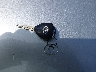 4T4BF3EK1BR****** Salvamento 2011 Toyota Camry en Estado de Illinois