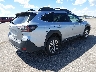 4S4BTAFC5S3****** Salvage and Wrecked 2025 Subaru Outback in Minnesota State