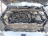 3FA6P0HD1LR****** Repairable 2020 Ford Fusion in Dallas