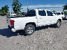 3TMCZ5AN2MM****** Salvamento y Destrozados 2021 Toyota Tacoma en Estado de Kentucky