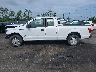 1FTEX1CF9FK****** Salvamento 2015 Ford F-150