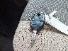 1FDUF5GT7FE****** Reparables 2015 Ford F-550 en Baton Rouge