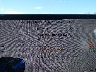5YJYGDEE8MF****** Wrecked 2021 Tesla Model Y