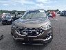 2FMPK4J92KB****** Wrecked 2019 Ford Edge in Illinois State