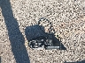 1VWAS7A34GC****** Destrozados 2016 Volkswagen Passat en Estado de Kansas