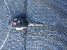 2T1BURHE5HC****** Salvamento 2017 Toyota Corolla en Estado de Kentucky