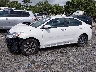 3KPA24AD4PE****** Reparables 2023 Kia Rio en Estado de Carolina del Sur