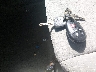 5TDKK3DC0FS****** Salvamento 2015 Toyota Sienna en Estado de Maryland