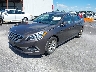 5NPE24AF9GH****** Used and Repairable 2016 Hyundai Sonata in Saint Louis