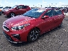 3KPF24ADXKE****** Usados y Reparables 2019 Kia Forte en Saint Louis