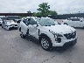 1GYAZAR40PF****** Salvamento y Reparables 2023 Cadillac XT4 en Estado de Texas