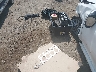 3GCUKTEJXEG****** Wrecked 2014 Chevrolet Silverado 1500 in New Jersey State