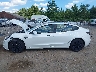 5YJ3E1EA9RF****** Usados 2024 Tesla Model 3 en Estado de Massachusetts