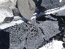 4V4NC9EH2PN****** Salvage and Repairable 2023 Volvo VNL in Nevada State