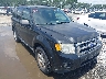 1FMCU9DG9BK****** Salvamento y Destrozados 2011 Ford Escape en Savannah