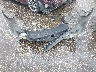JF2SJAAC8EH****** Wrecked 2014 Subaru Forester in Texas State