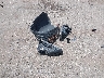 KM8K1CAA9MU****** Wrecked 2021 Hyundai Kona in Texas State