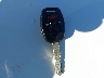 1HGCP2F88BA****** Salvage 2011 Honda Accord in New Jersey State