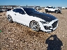 1FA6P8THXF5****** Salvage and Wrecked 2015 Ford Mustang in Amarillo