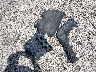 2C3CCAAG1KH****** Wrecked 2019 Chrysler 300 in Illinois State