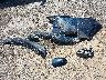 5YFBURHE6KP****** Wrecked 2019 Toyota Corolla in Oklahoma State
