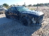 1FA6P8TH9H5****** Salvamento y Destrozados 2017 Ford Mustang en Permian Basin