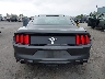 1FA6P8AM7H5****** Usados 2017 Ford Mustang