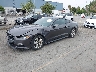 1FA6P8AM7H5****** Usados y Reparables 2017 Ford Mustang en Fremont