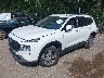5NMS2DAJ9PH****** Used and Repairable 2023 Hyundai Santa Fe in Indianapolis