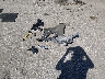 KL8CB6SA8NC****** Wrecked 2022 Chevrolet Spark in Missouri State