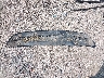 1C3CCCAB9FN****** Wrecked 2015 Chrysler 200 in Texas State