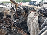 3GCUKSEC1JG****** Used and Repairable 2018 Chevrolet Silverado 1500 in North Carolina State