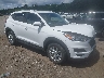 KM8J3CA46KU****** Salvage and Wrecked 2019 Hyundai Tucson in Boston Shirley