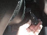 JF2SHABC4CH****** Salvamento 2012 Subaru Forester en Estado de Colorado