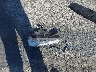 JTDKAMFP5M3****** Wrecked 2021 Toyota Prius Prime in California State