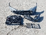 3MW59FT05S8****** Destrozados 2025 BMW M3 en Estado de California