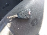 1C4NJPFB2ED****** Salvamento 2014 Jeep Patriot en Estado de California