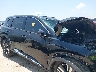 5N1BT3CA5PC****** Destrozados 2023 Nissan Rogue en Estado de Texas