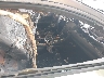 2HGFC2F81MH****** Usados y Reparables 2021 Honda Civic en Estado de Luisiana