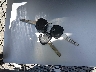 KMHTC6AD5CU****** Salvage 2012 Hyundai Veloster in Missouri State