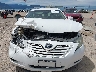 4T1BE46K79U****** Usados 2009 Toyota Camry en Estado de Montana