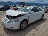 4T1BE46K79U****** Usados y Reparables 2009 Toyota Camry en Missoula